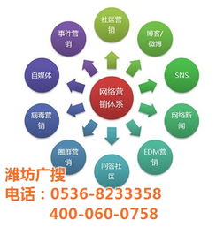 奎文網(wǎng)站優(yōu)化技術(shù)指南及濰坊廣搜優(yōu)惠價(jià)格解析